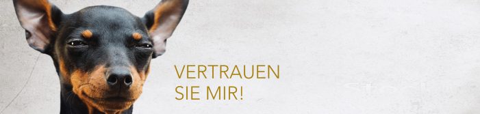 17. Pawlik Congress am 13. November 2018 in Hamburg