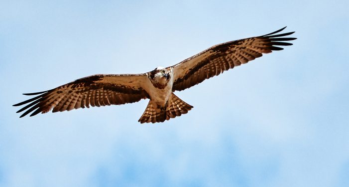 Inmodis – Ihr Partner für die IT-Sicherheit in Ihrem Unternehmen Inmodis – Ihr Partner für die IT-Sicherheit in Ihrem Unternehmen