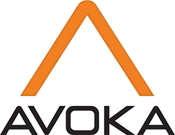 Avoka-Kunde HSBC gewinnt Compliance Award