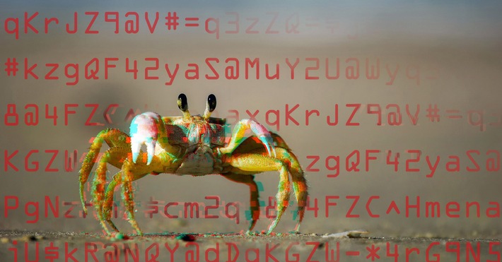 Gezielte Angriffe auf Unternehmen: G DATA warnt vor aktueller Ransomware-Kampagne (FOTO)