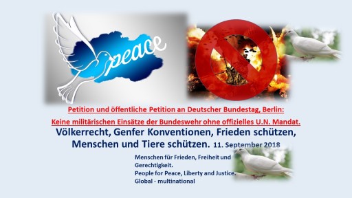 Petition: Keine militärischen Bundeswehr-Einsätze ohne offizielles U.N. Mandat