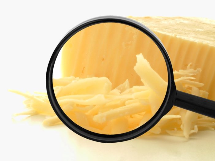 Alles Käse? Vernetzte Digitalisierung macht mehr aus Ihren Daten Alles Käse? Vernetzte Digitalisierung macht mehr aus Ihren Daten