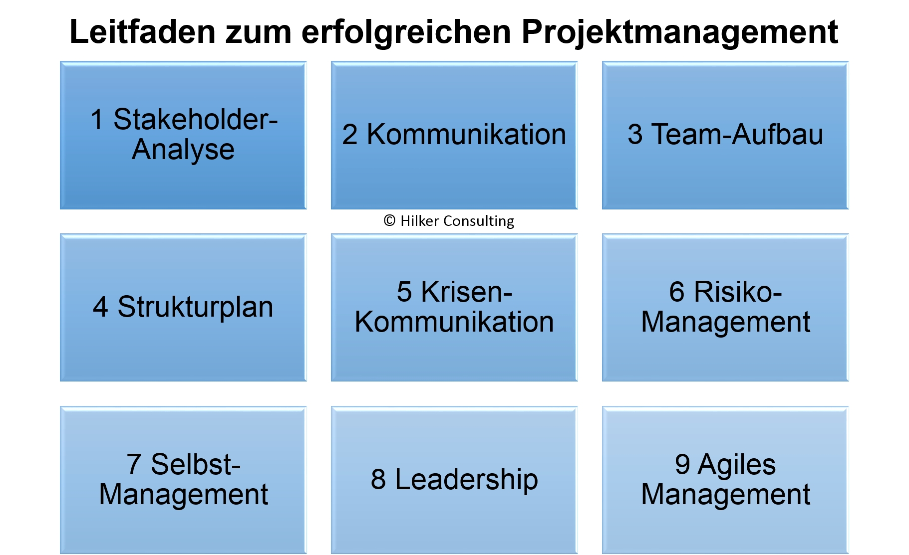 Leitfaden zum erfolgreichen Projektmanagement mit Videos