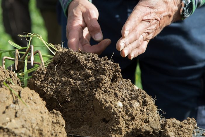Der „Bodenkurs im Grünen“ vermittelt Landwirten wichtige Grundlagen