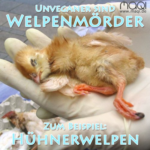 Unveganer schlachten Millionen Welpen