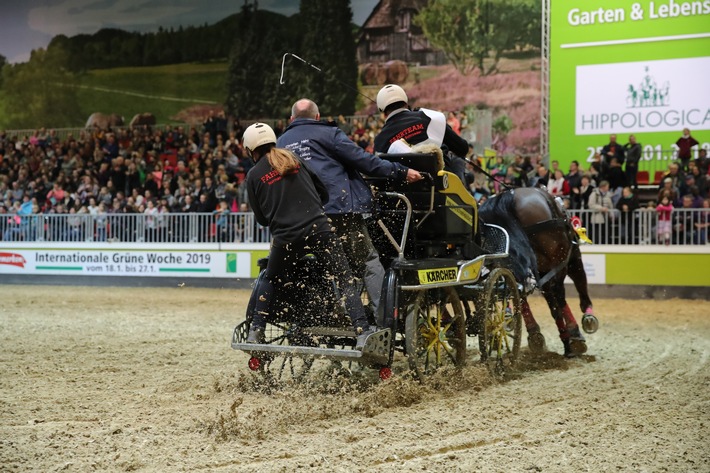 Hufgetrappel auf der Grünen Woche: HIPPOLOGICA zieht Pferdefans auf das Messegelände (FOTO)