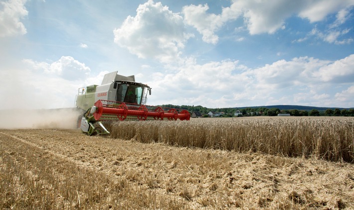 Prognose der Agravis Raiffeisen AG zur beginnenden Ernte (FOTO)