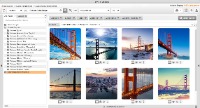 Umfangreiches Jahres-Update für Mediensuchmaschine my-picturemaxx: Nie war es einfacher, das richtige Bild zu finden