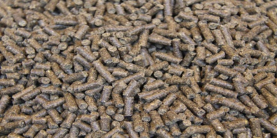 Peru Animal Feed Market Size, Share, Growth, Trend and Forecast by 2025 | TechSci Research