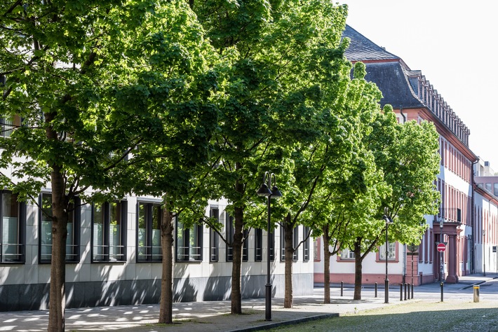 Grünere, gesunde Städte / 13 EU-Länder schließen sich in der Kampagne Mehr grüne Städte für Europa zusammen (FOTO)
