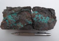 Camino meldet neue Kupferentdeckung auf Los Chapitos!