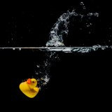 Die PVC-Welt trifft sich am SKZ Die PVC-Welt trifft sich am SKZ