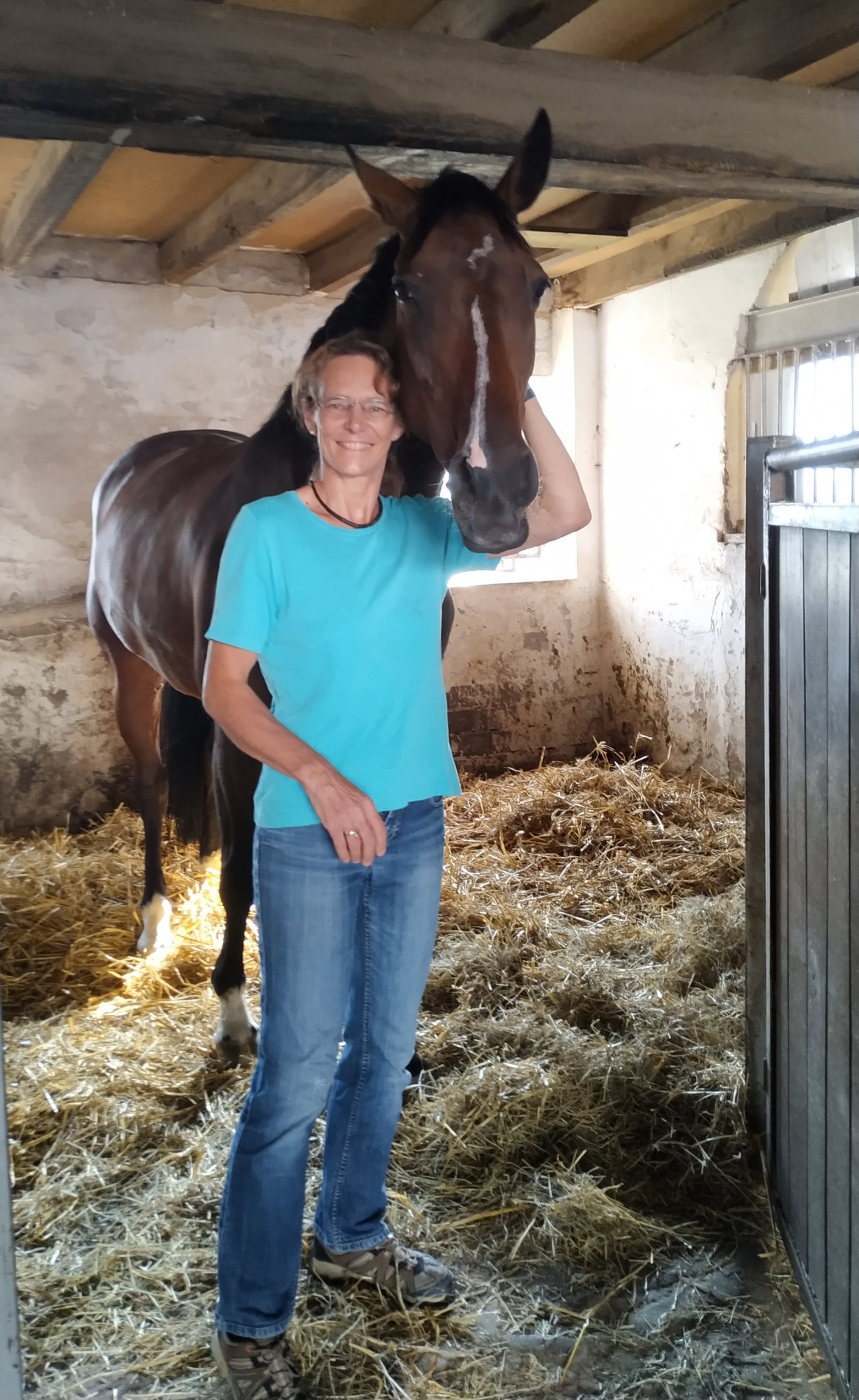 Was wir von Pferden lernen können Was wir von Pferden lernen können