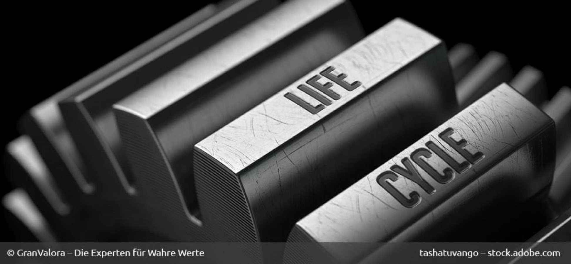 Technologiemetalle und Seltene Erden: Hohe Nachfrage, kurzer Lebenszyklus