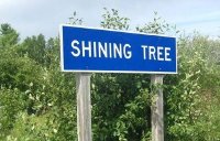 Platinex setzt zweigleisige Explorationsaktivitäten auf Goldprojekt Shining Tree fort