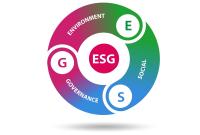 FYI Resources verpflichtet sich freiwillig auf strenge UN-Nachhaltigkeitsprinzipien