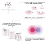 Wenn die Software schuld ist: Studie enthüllt neue Risiken für die Lebensdauer von Elektronikgeräten