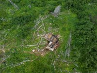 Brixton Metals: Ivanhoe Electric zahlt weitere 500.000 USD für Hog Heaven-Option