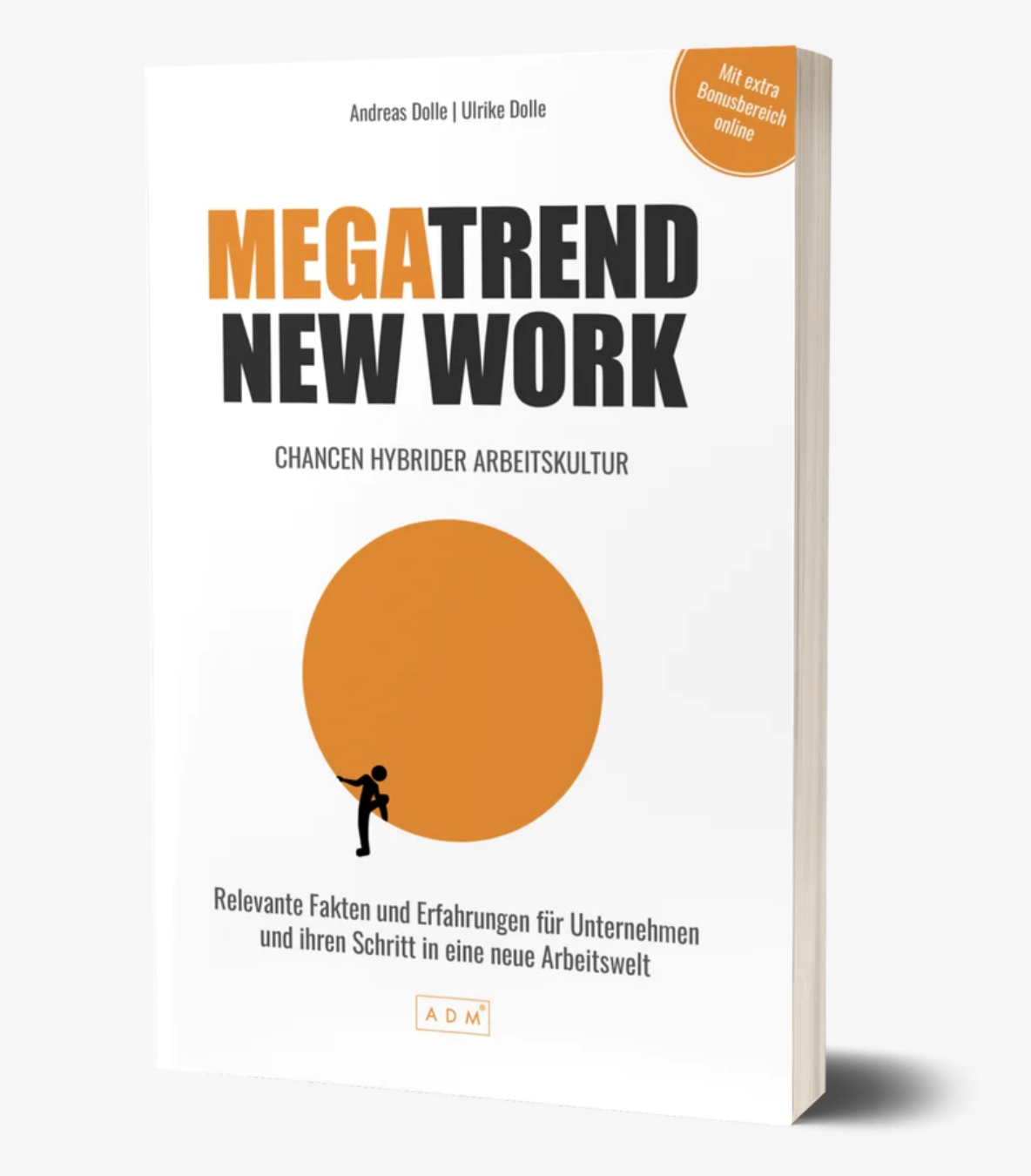 Megatrend New Work: Wie hybride Arbeitskultur die Zukunft der Arbeit prägt Megatrend New Work: Wie hybride Arbeitskultur die Zukunft der Arbeit prägt