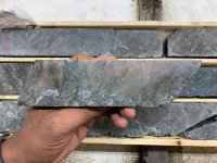 Goldshore Resources: Neue Ressourcenschätzung kommt auf 6 Mio. Unzen Gold!