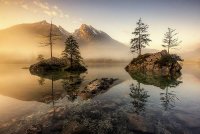 Künstliche Intelligenz in der Fotoverwaltung