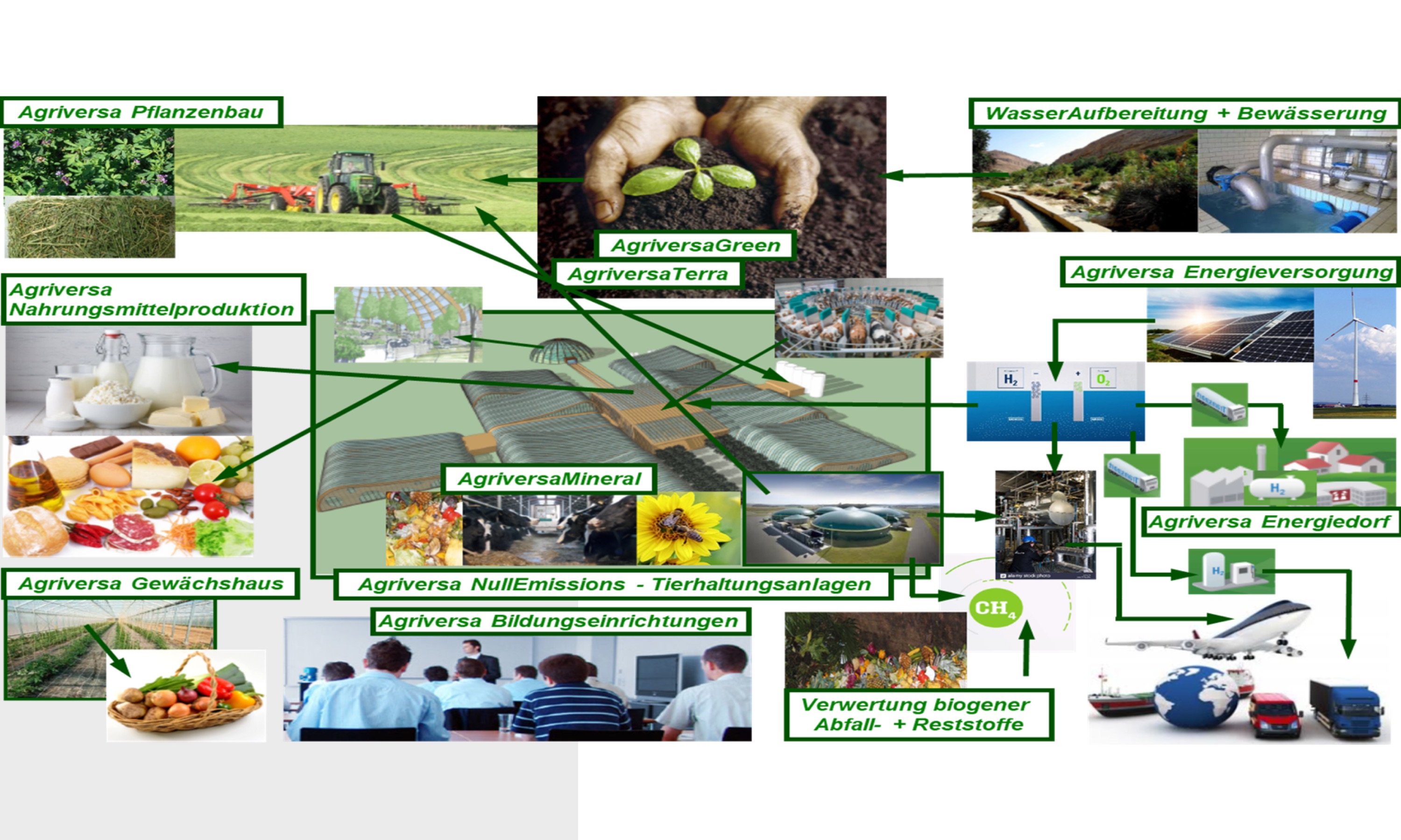 Aufgaben der Landwirtschaft, der Milchwirtschaft in den nächsten Jahren