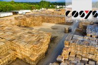 Die COSYS Ident GmbH: Kontrolleüber Ihre Lademittelverwaltung mit der COSYS Lademittelverwaltung