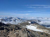 Goliath Resources: Golden Gate liefert erneut sichtbares Gold!