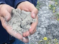 Homerun Resources unterschreibt Vertraulichkeitserklärung