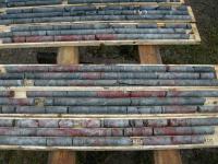 Platinex startet neues Explorationsprogramm Platinex startet neues Explorationsprogramm