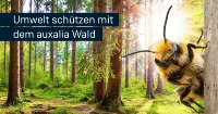 auxalia Wald wächst weiter: Ein Erfolg für die Umwelt