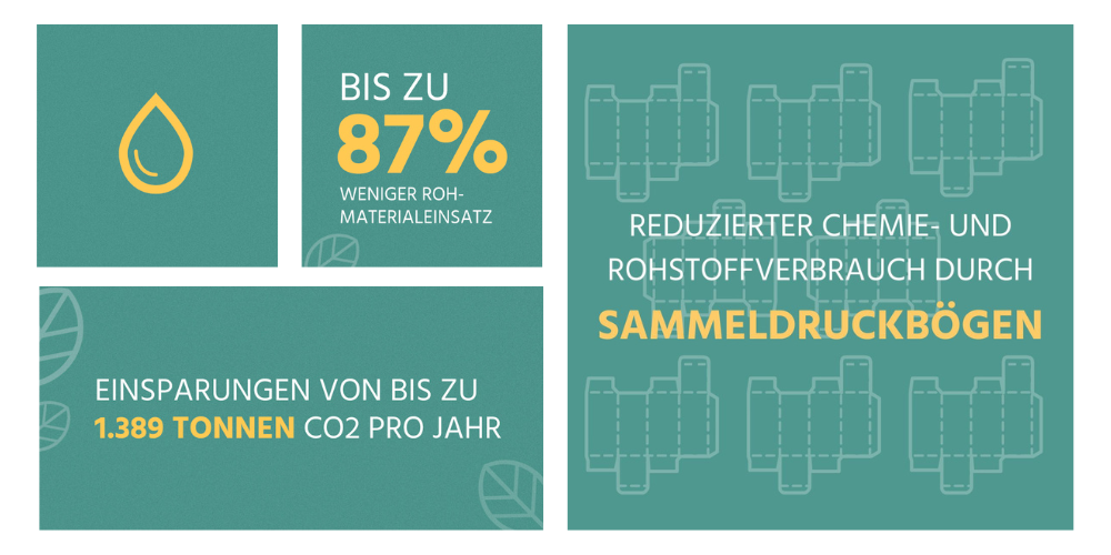 Nachhaltige Verpackungen von PackEx: Vom Startup zum führenden Anbieter der Branche