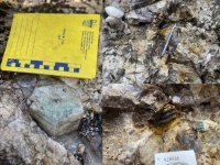 Usha Resources will im Winter zehn Bohrziele auf White Willow Lithium-Pegmatit testen Usha Resources will im Winter zehn Bohrziele auf White Willow Lithium-Pegmatit testen