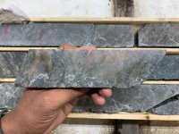 Goldshore Resources: Gesteinsproben erweitern bekannte Goldtrends erheblich