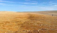 American West bestätigt regionales Potenzial mit bis zu 38,2% Cu und 30,8% Zn auf Tempest