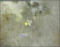Sitka Gold trifft auch im zweiten Bohrloch des Jahres 2024 zielgenau sichtbares Gold