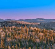 Abitibi Metals sichert sich bei dritter Finanzierung in Folge weitere 7,1 Mio. CAD!