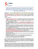 Calibre meldet Finanzergebnisse für das 1. Quartal und bleibt auf Kurs, um die Prognosen für das Gesamtjahr zu erfüllen, während es den Bau der Multi-Millionen-Unzen-Goldmine Valentine vorantreibt und sich auf ein bedeutendes Wachstum im Jahr 2025 einstel
