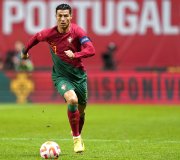 Sport-Domains und Football-Domains für Ihre EM-Webseiten Sport-Domains und Football-Domains für Ihre EM-Webseiten