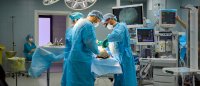 Haarwurzeltransplantationen: WannÄrzte Umsatzsteuer ausweisen müssen