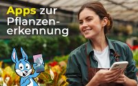 Apps zur Pflanzenerkennung im Vergleich: Ein Botaniker in der Hosentasche – was blüht denn da-