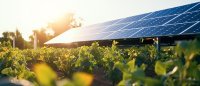 Totalverlust bei Photovoltaikanlagen: Welche steuerlichen Regeln gelten-