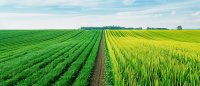 Landwirtschaftliches Vorkaufsrecht: Wann gilt ein Verpächter als Landwirt-
