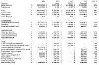 American Aires gibt vorläufiges Rekordergebnis für Q4/2024 bekannt und stellt Leitlinien für 2025 vor