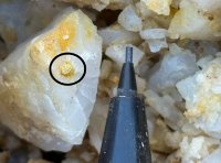 Golden Cariboo erweitert Halo-Entdeckung mit Goldvererzungsabschnitt von 172,6 Metern!