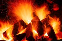 Warum die Hot-Domains für deutsche Unternehmen ideal sind