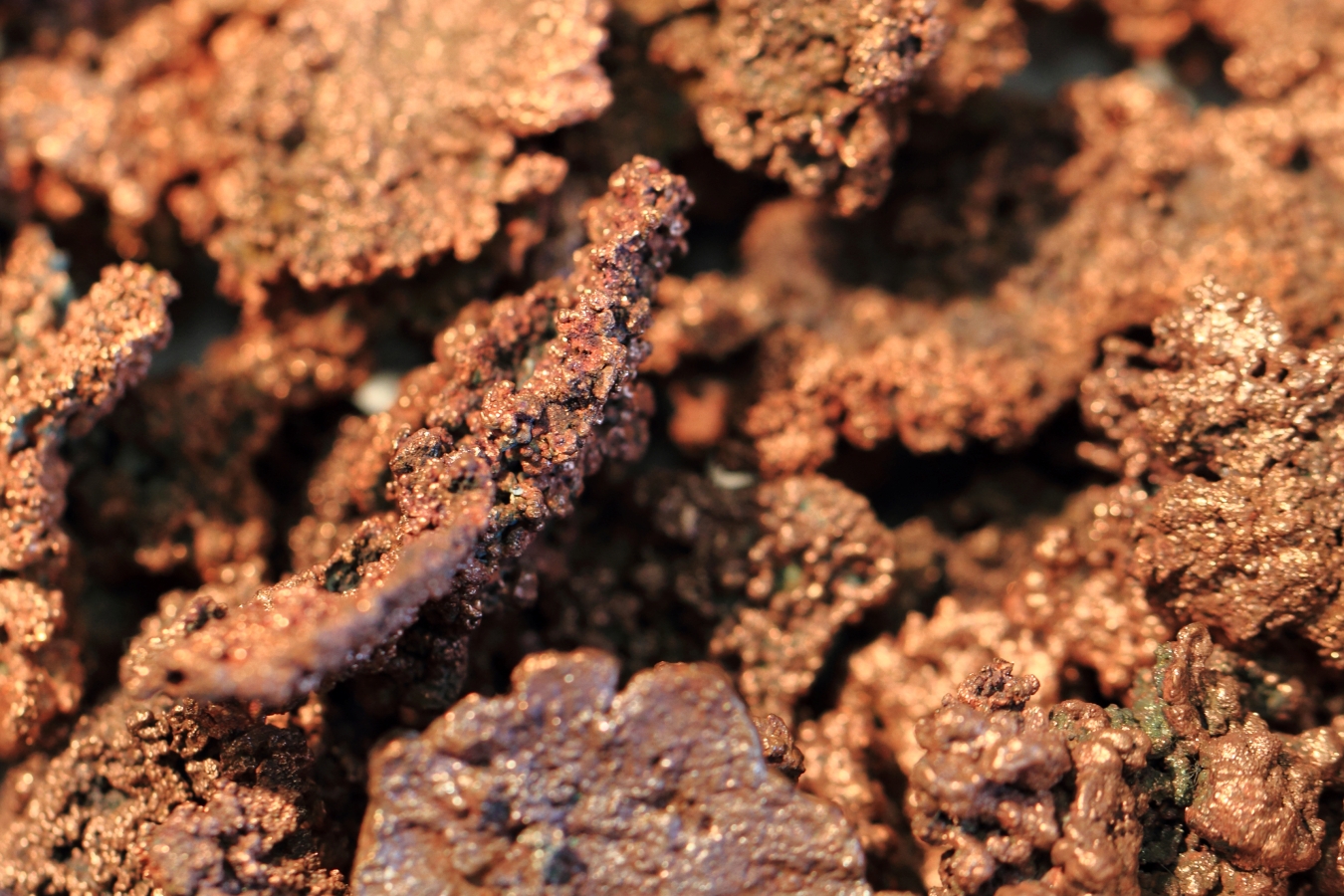 Formation Metals: Zusätzliches Kupfer-Zink-Potenzial auf Goldprojekt N2 identifiziert! Formation Metals: Zusätzliches Kupfer-Zink-Potenzial auf Goldprojekt N2 identifiziert!