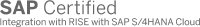 HONICO BatchMan Workload Automation erhält SAP®-Zertifizierung für RISE with SAP S/4HANA® Cloud