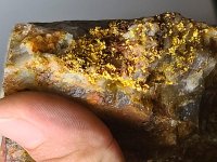 Sranan Gold: Zahlreiche neue Ziele verdeutlichen jetzt das Goldpotenzial von Tapanahony! Sranan Gold: Zahlreiche neue Ziele verdeutlichen jetzt das Goldpotenzial von Tapanahony!