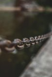 Warum eine eigene Link-Domain als URL-Shortener ein echter Gewinn ist
